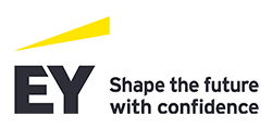 EYストラテジー・アンド・コンサルティング