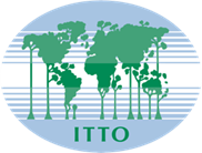国際熱帯木材機関（ITTO） ロゴ